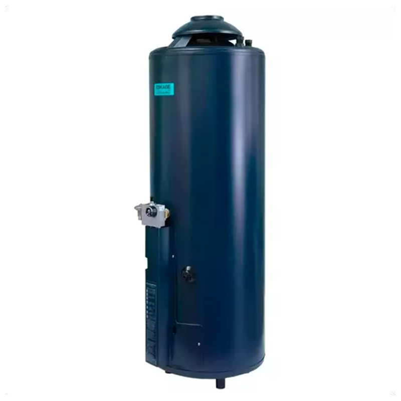 termotanque, termotanques, de, pie, 70, litros, a, gas, natural, envasado, multigas, eskabe, H1100, novogar, conexión, superior, encendido, piezoeléctrico, Alta recuperación, alta, recuperación, Acquapiu, Hybrid4, Acquapiu Hybrid4, salida horizontal, salida, vertical, 76 litros, 70, 76, litros.